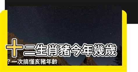 1996屬豬|屬豬今年幾歲｜屬豬民國年次、豬年西元年